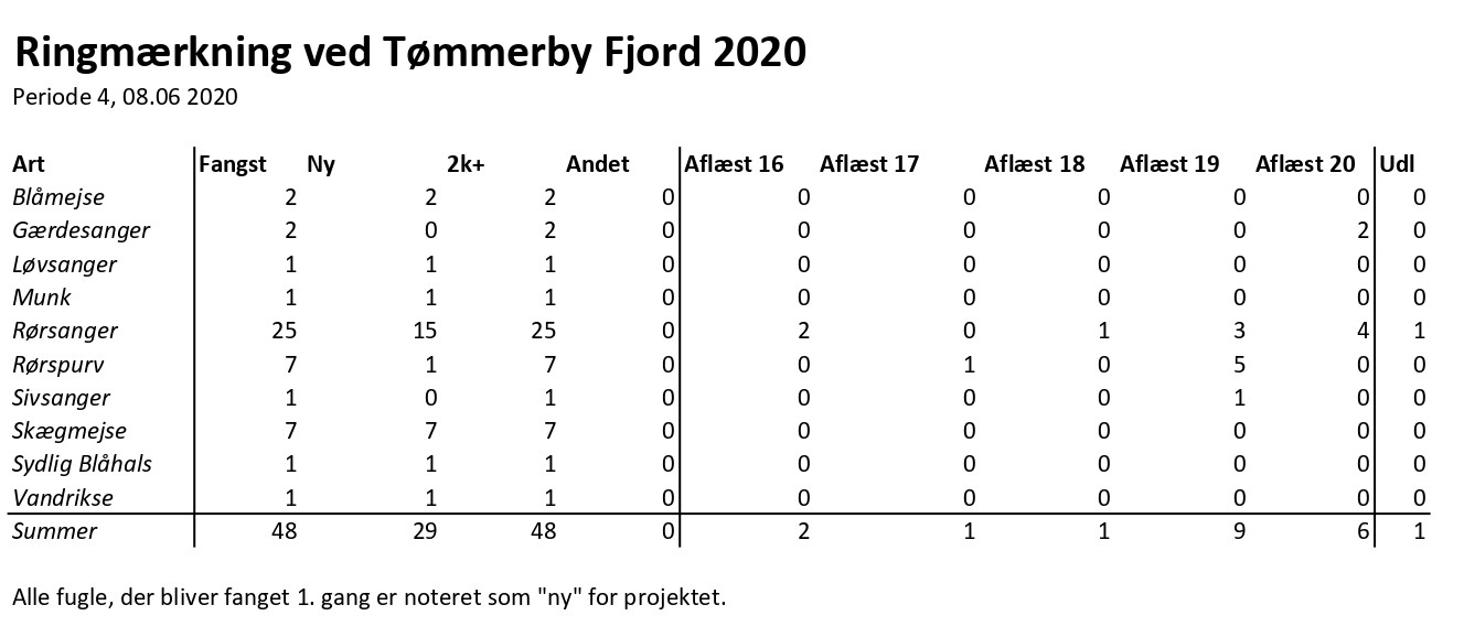 CES Tmmerby periode 4 2020 