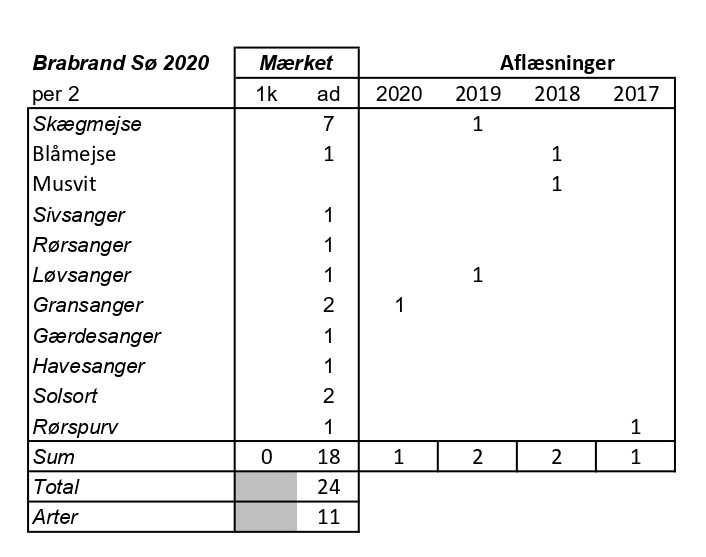 CES Brabrand Periode 2 2020
