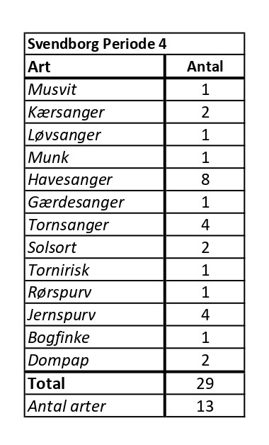 CES Svendborg per 4 tabel